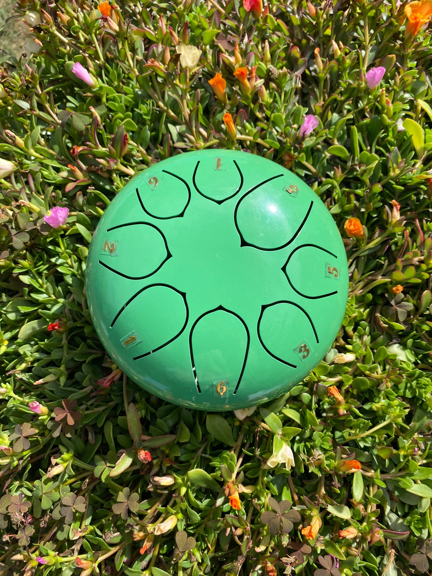 6 Inch 8 Note Rain Drums