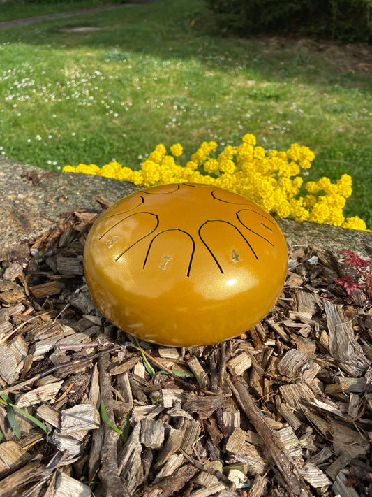 6 Inch 8 Note Rain Drums